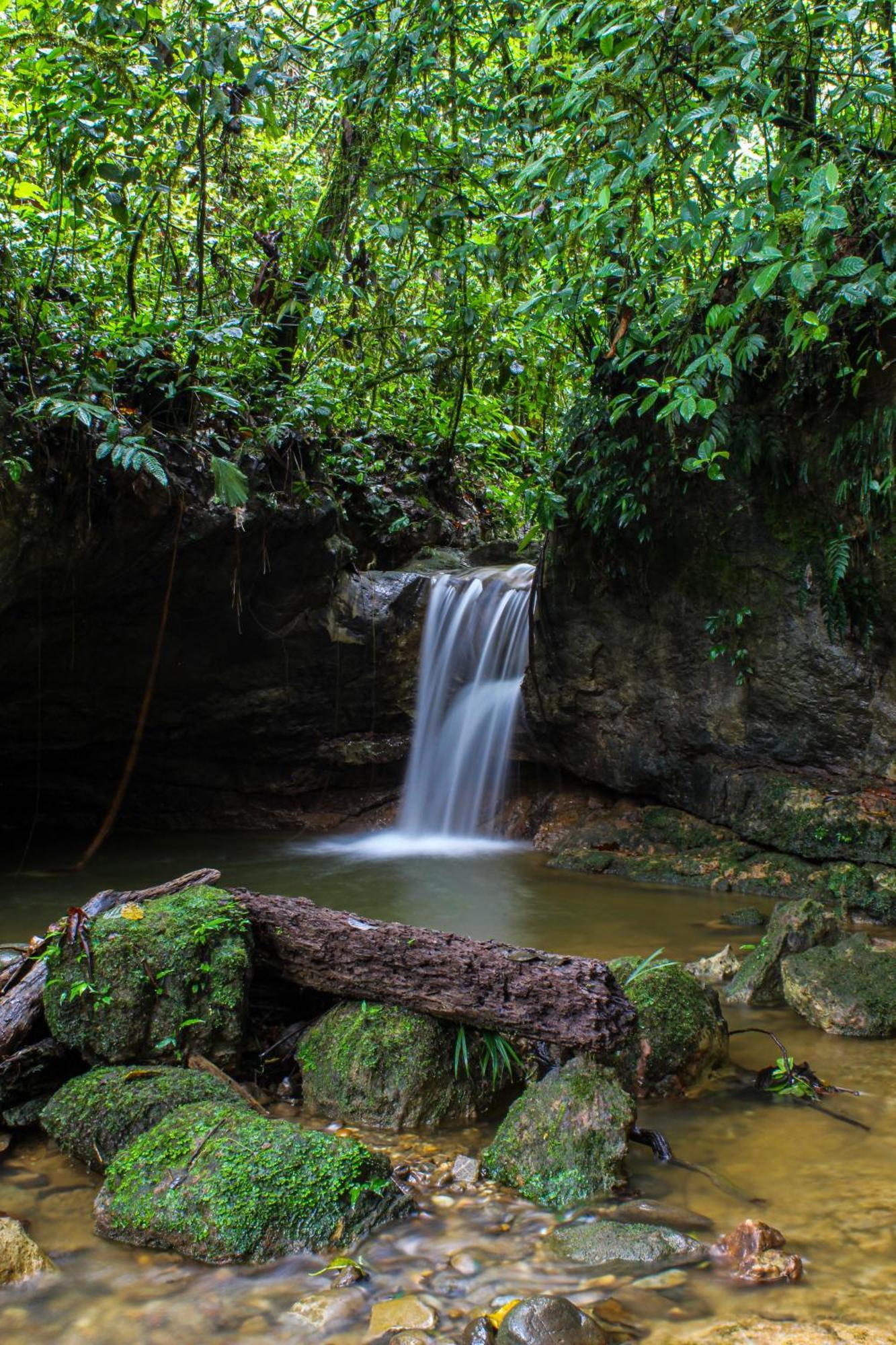 Ingaru Lodge Pano Dış mekan fotoğraf