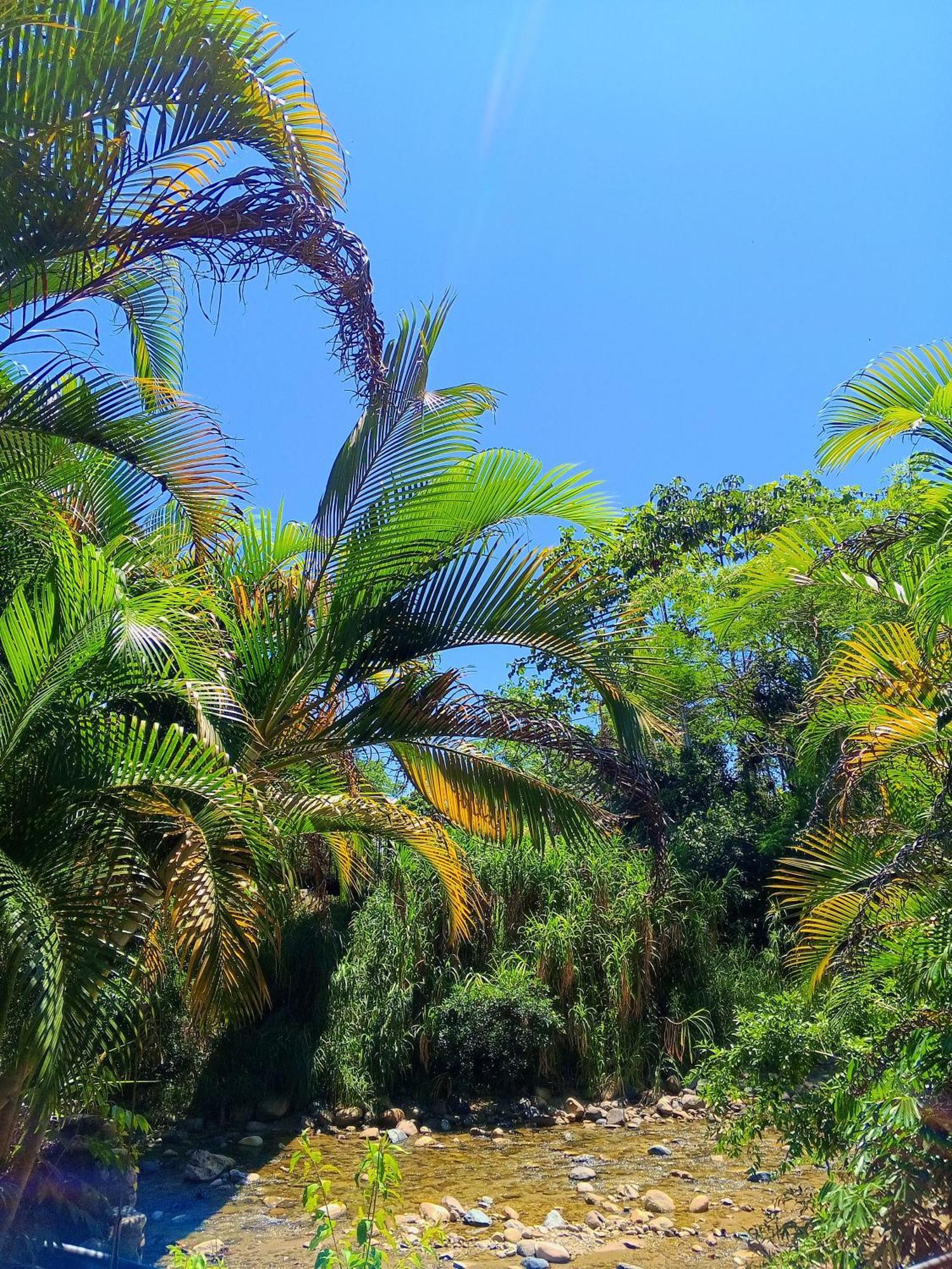 Ingaru Lodge Pano Dış mekan fotoğraf