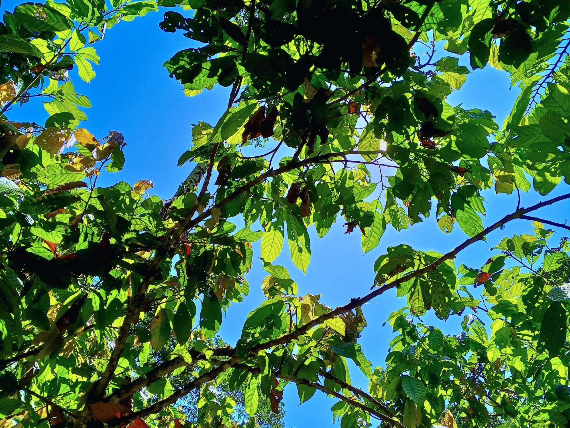 Ingaru Lodge Pano Dış mekan fotoğraf