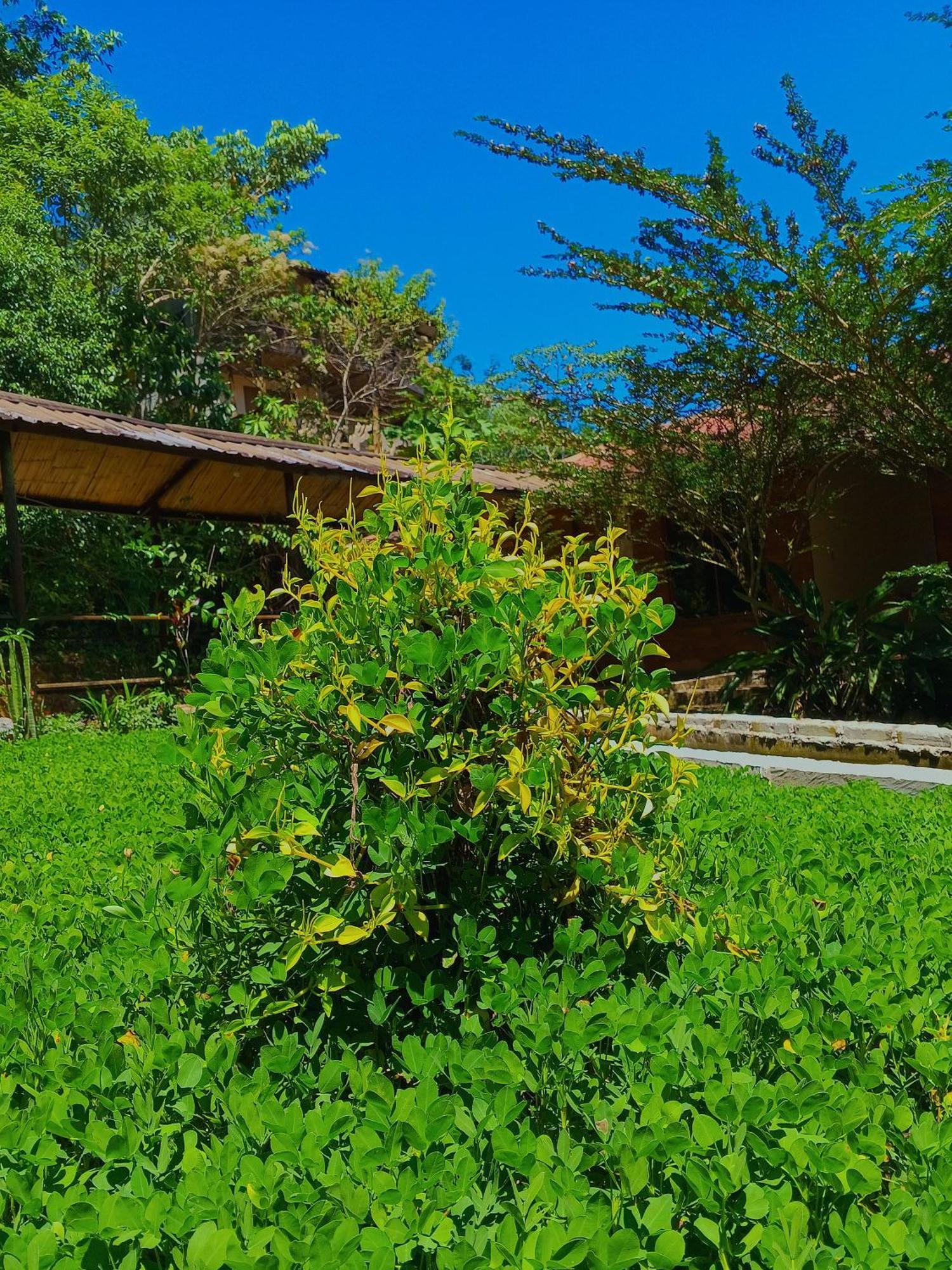 Ingaru Lodge Pano Dış mekan fotoğraf