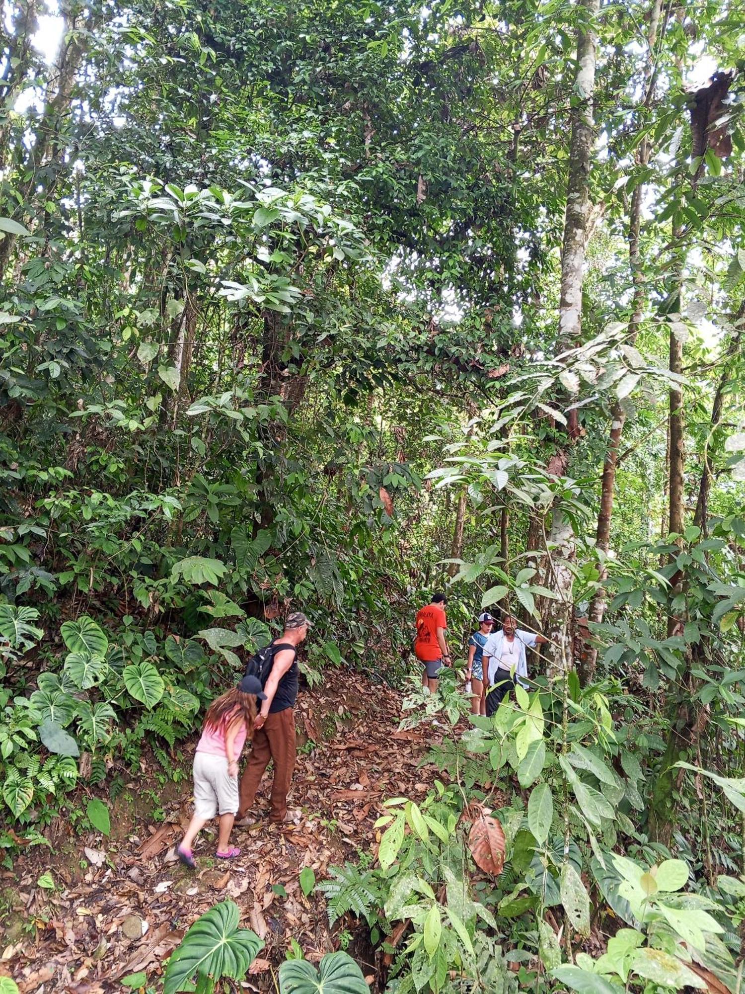 Ingaru Lodge Pano Dış mekan fotoğraf